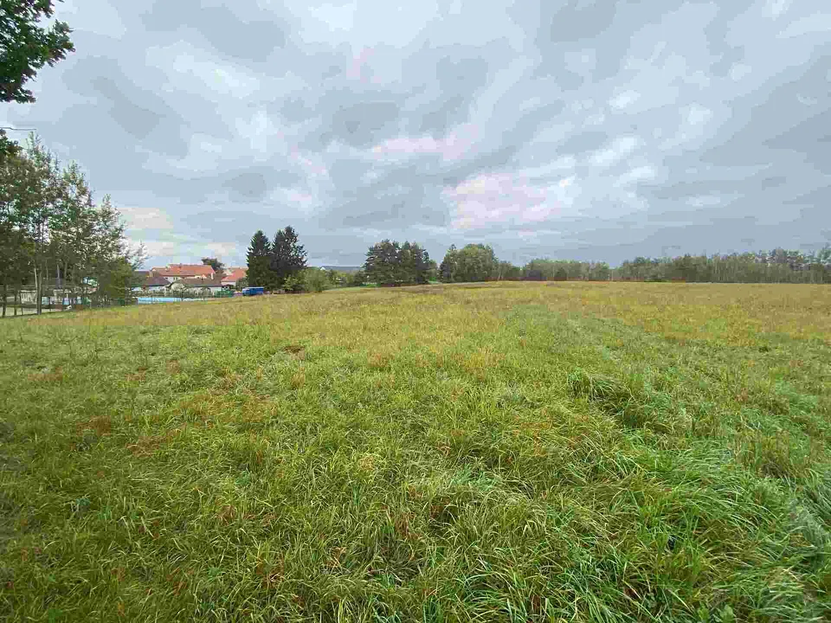 Prodej pozemku 15915 m²